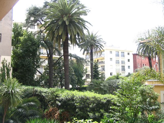 Photo 029 [640x480].jpg